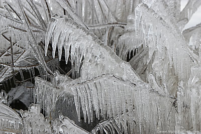 Epic Rare Ice Event At Ballyronan Marina - March 2nd 2018